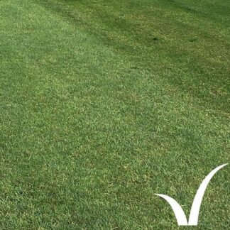 Landscape Plus Turf product